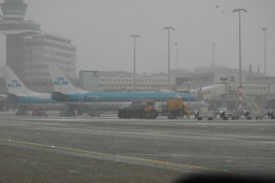 DSC_7964.jpg