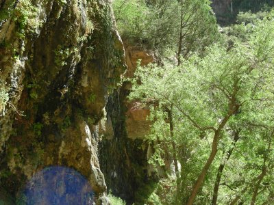 2007-Zion National Park-Summer