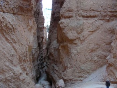 Bryce Canyon24.jpg