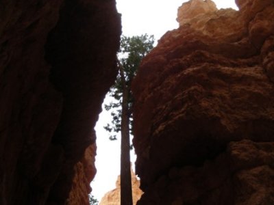 Bryce Canyon29.jpg