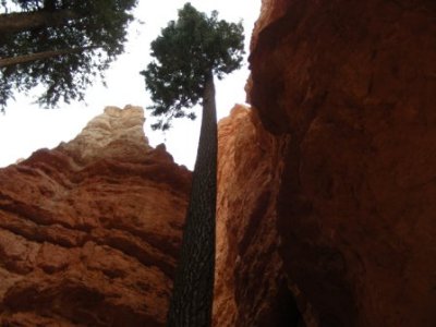 Bryce Canyon34.jpg