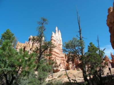 Bryce Canyon53.jpg
