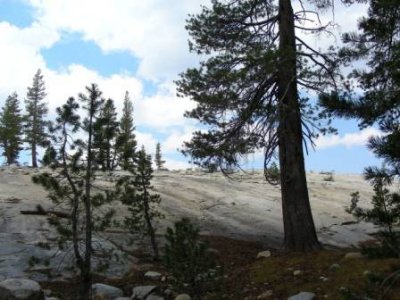 Yosemite161.jpg