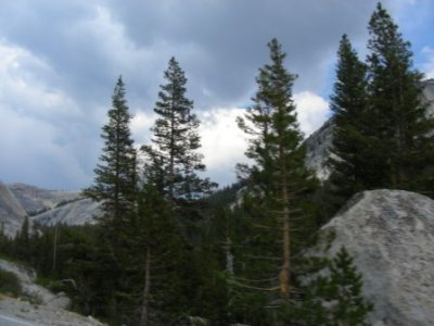 Yosemite175.jpg