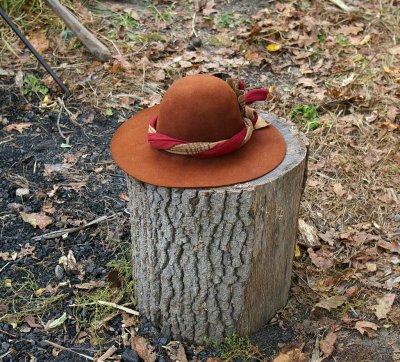 stump and hat