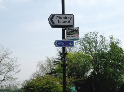 Calling all monkeys