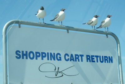Flying shopping carts