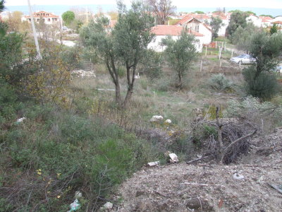 arsa