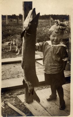 muskellunge