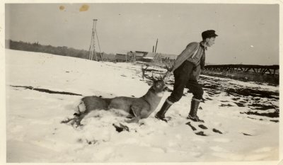 Deer