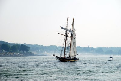 Tall ships sailing into Portsmouth
