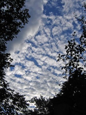 1sky.jpg