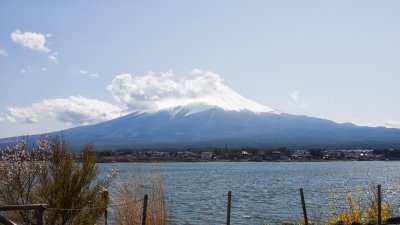 g6/39/331339/3/150019029.oOKI5QRp.jpg