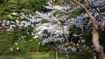 g6/39/331339/3/150019301.7pkU4ZRr.jpg