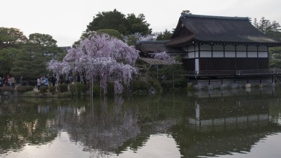 g6/39/331339/3/150019315.B2XJSuKe.jpg