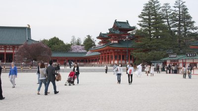 g6/39/331339/3/150019324.dR4A7DRF.jpg