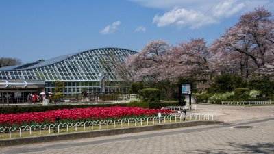 Kyoto Botanical Garden