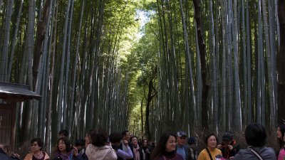 Arashiyama
