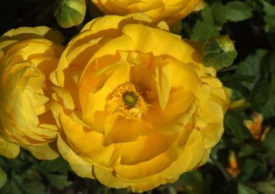 g6/39/331339/3/85895089.qSn9qL3Y.jpg