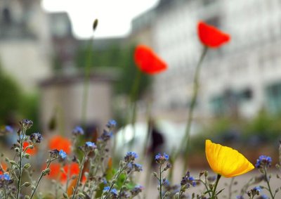 Rouen