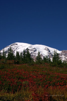 PICT5469_1.jpg