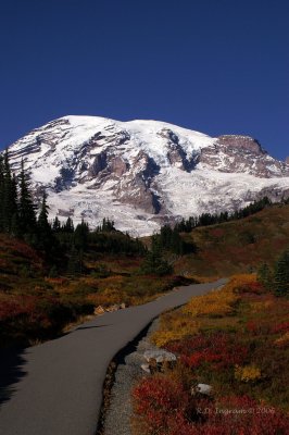 PICT5490_1.jpg
