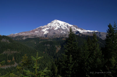 PICT5620_1.jpg
