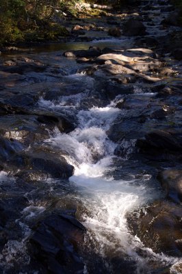 PICT5646_1.jpg