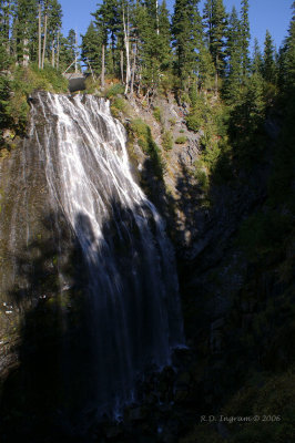 PICT5666_1.jpg