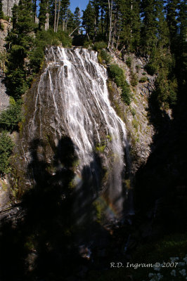 PICT5393.jpg