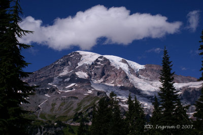 PICT5769.jpg