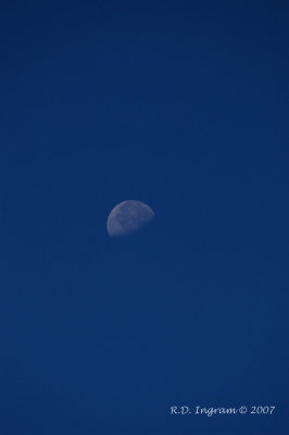 PICT5938.jpg