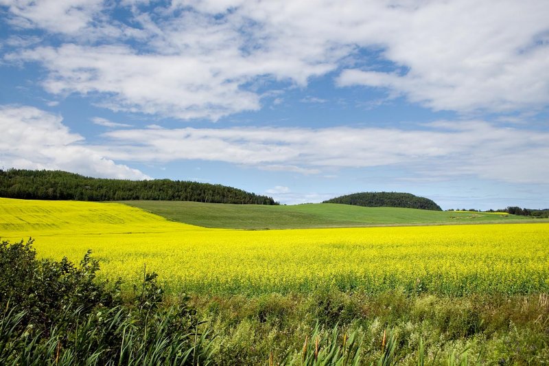 Gaspe Peninsula 5