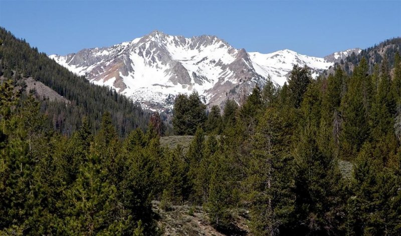  Sawtooth NRA 2