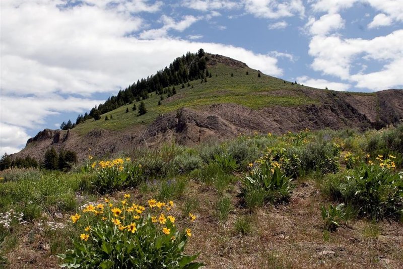  Sun Valley 2