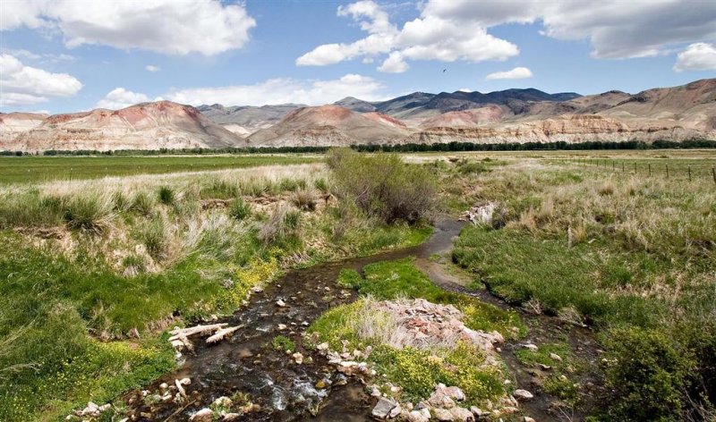  Challis 2