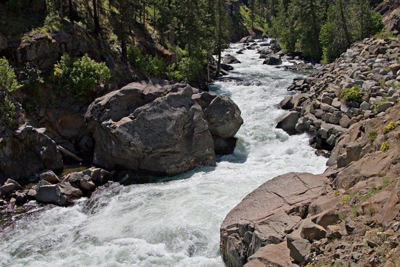 Icicle River 1