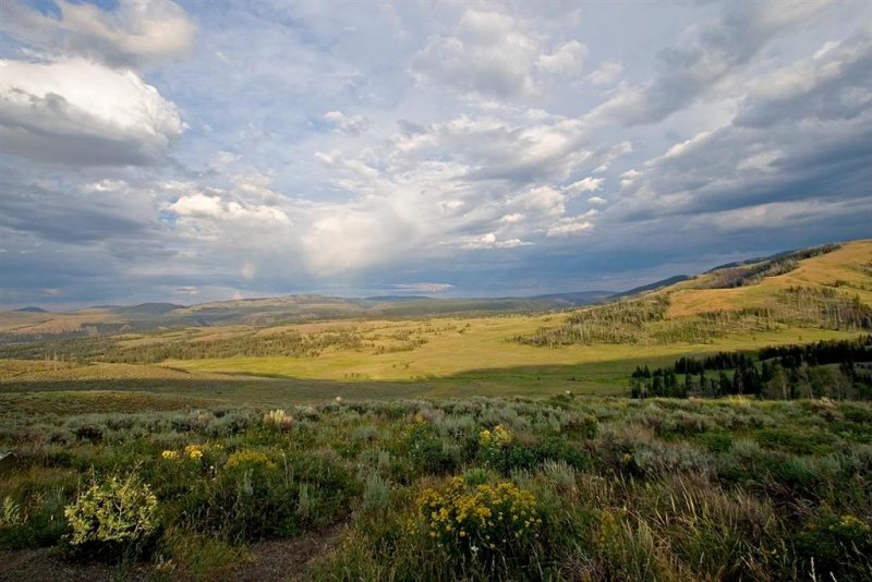 Hayden Valley
