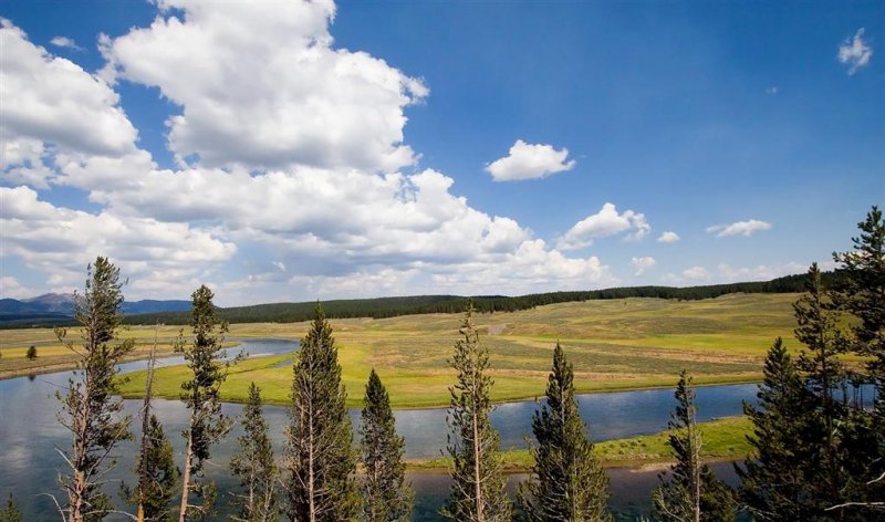 Hayden Valley