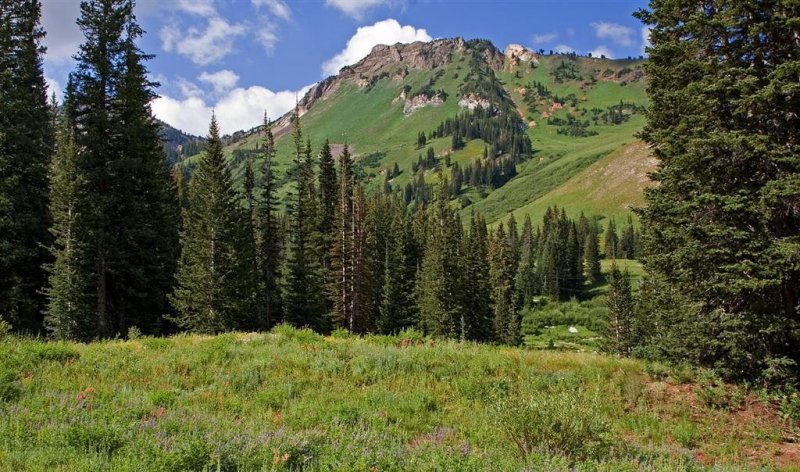 Albion Basin