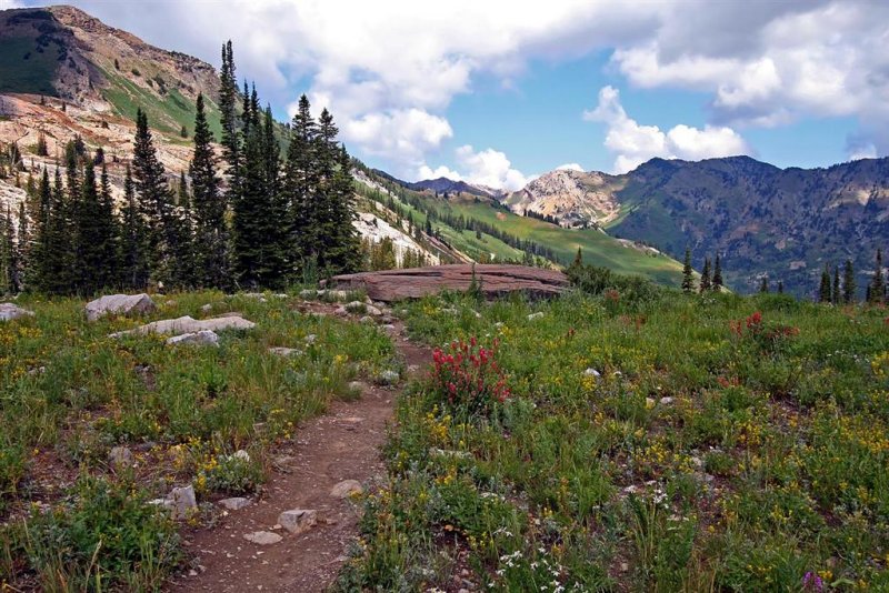 Albion Basin