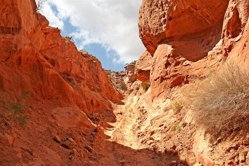  Long Canyon 