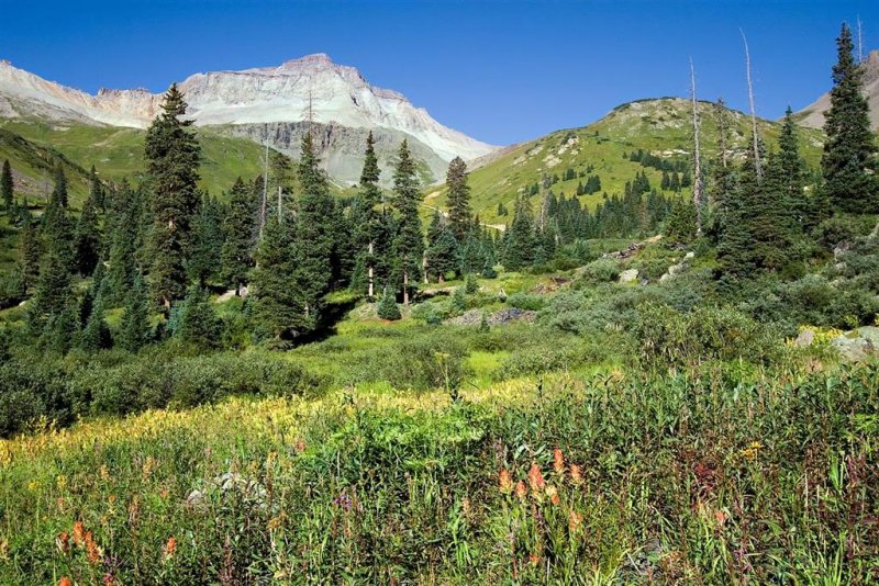  Yankee Boy Basin 3