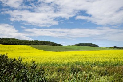 Gaspe Peninsula 5