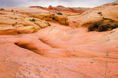  Valley of Fire SP