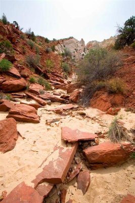 Surprise Canyon Trail 2