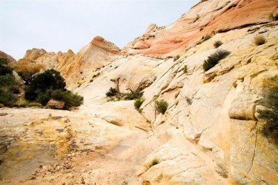 Surprise Canyon Trail 4