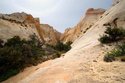 Surprise Canyon Trail 5