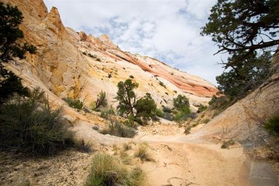 Surprise Canyon Trail 8