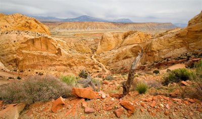  Burr Trail 